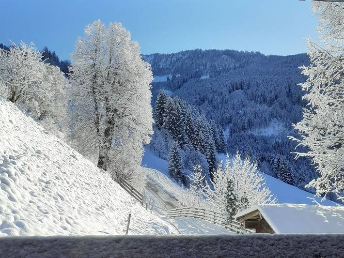 Chalet für 6 Personen, mit Sauna und Balkon, kinderfreundlich in Großarl - 2