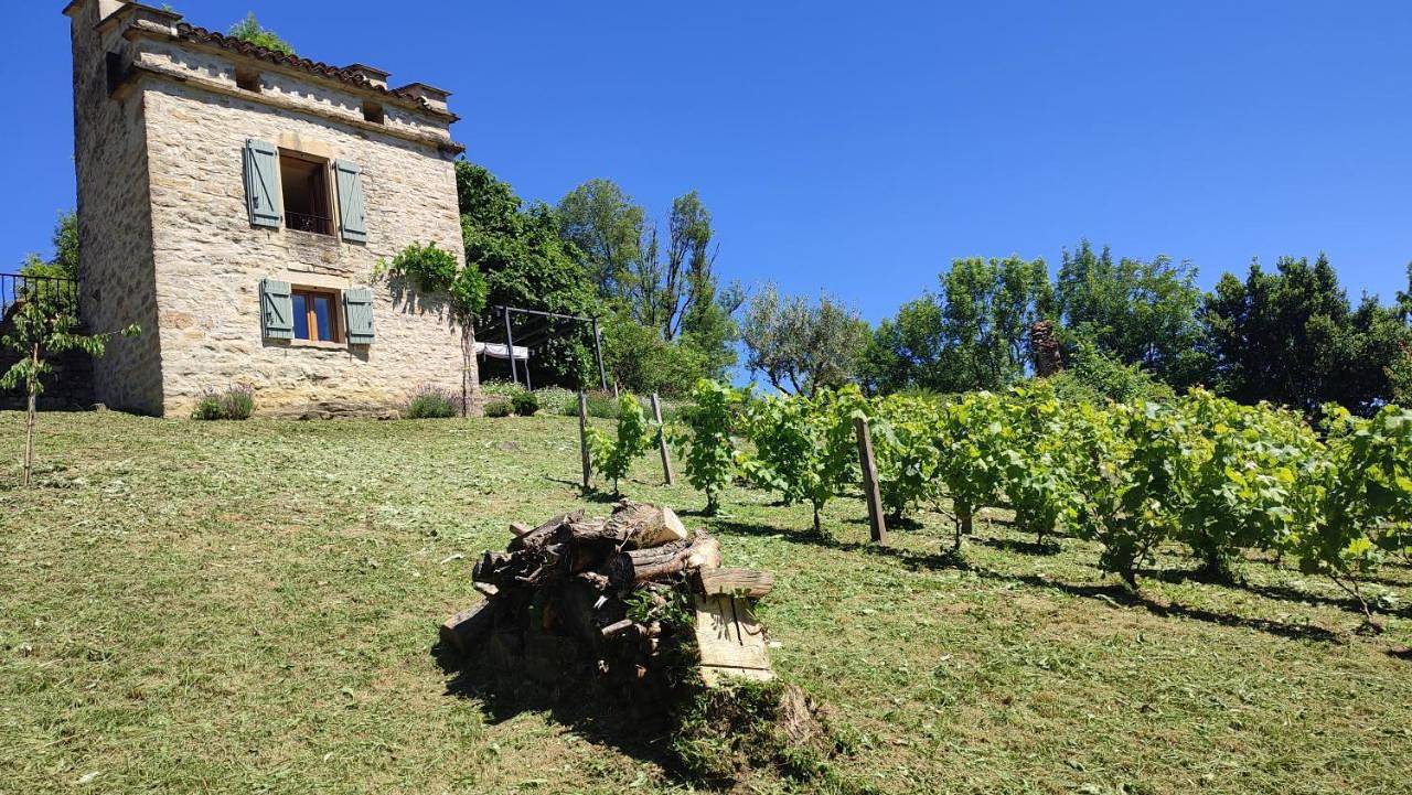 One-Bedroom House in Caylus, Tarn-et-Garonne