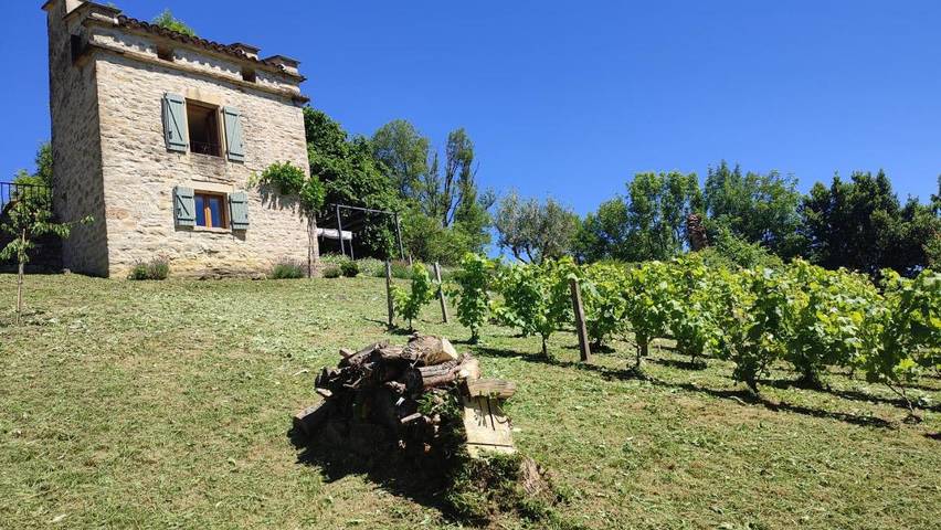 Location de vacances pour 2 personnes, avec vue et jardin à Caylus - 2