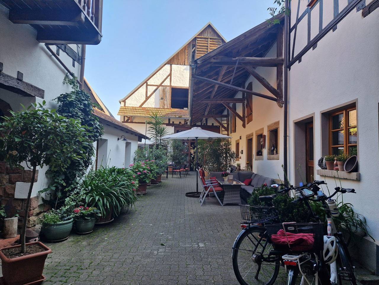 Ganze Ferienwohnung, Weingut & Gästehaus Frank Bohlender - Ferienwohnung in Steinweiler, Kurpfalz