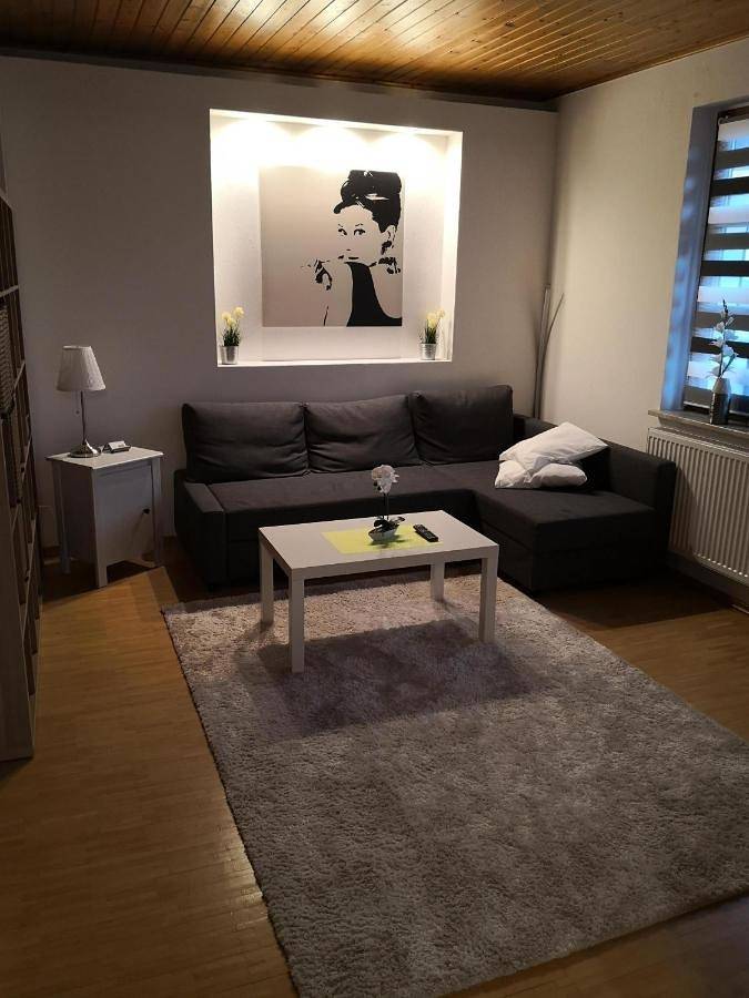 Ganze Wohnung, Apartment Ferienwohnung Emmerthal auch für Monteure Fewo in Emmerthal, Weserbergland