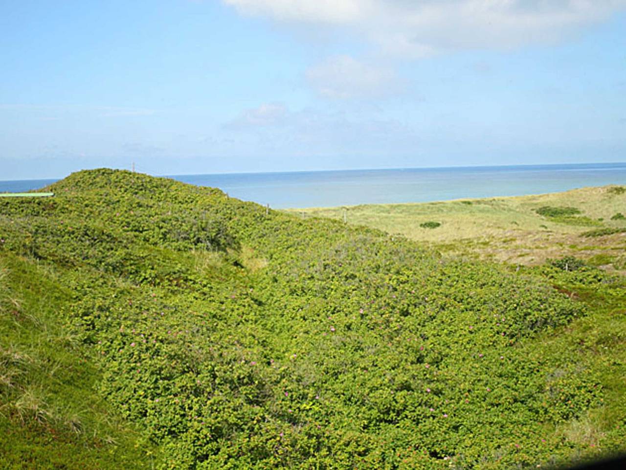 Ganze Ferienwohnung, Wohnung Dirkmann in Hörnum, Sylt