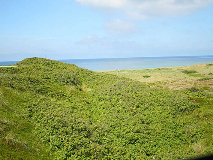 Ferienwohnung für 4 Personen, mit Balkon, kinderfreundlich in Hörnum - 4