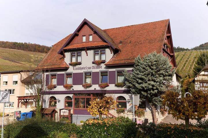 Hôtel pour 4 personnes, avec vue et jardin, animaux acceptés