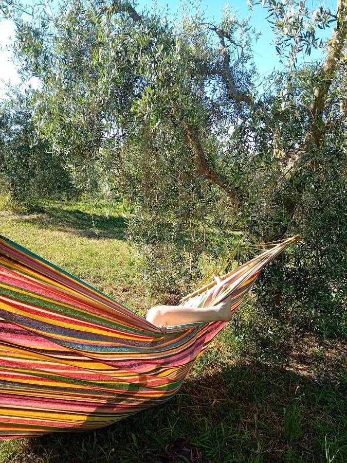 Paradise Agricamp in Roccastrada, Provincia di Grosseto
