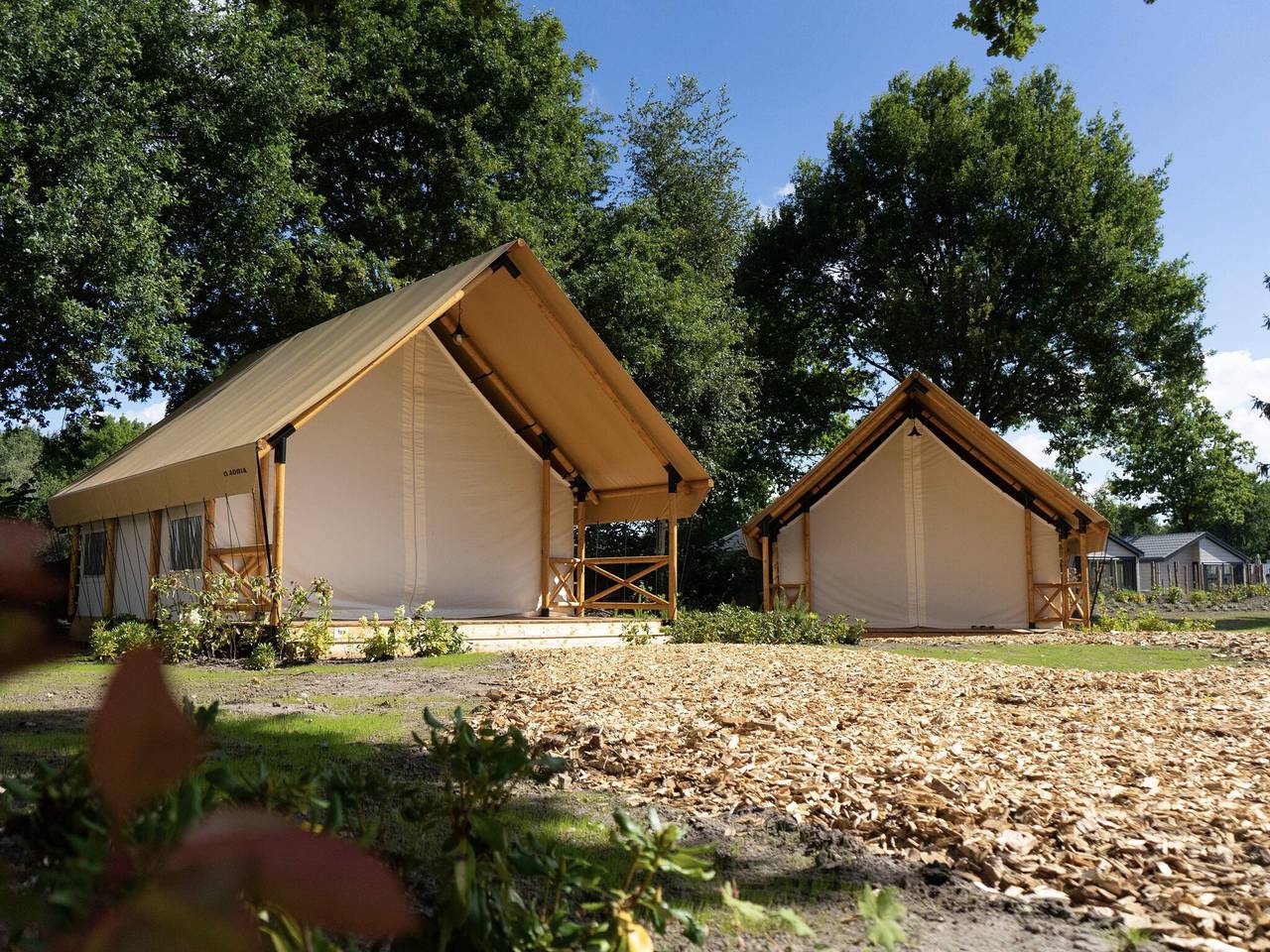 Belle tente lodge avec véranda, à 2 km de l'Efteling in Kaatsheuvel, Brabant-Septentrional