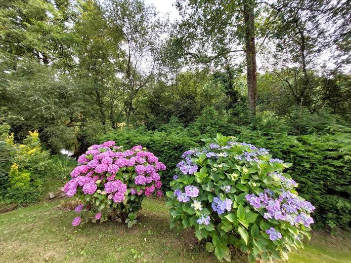 Casa rural para 4 personas, con vistas además de terraza y jardín en Valle del Miera - 3