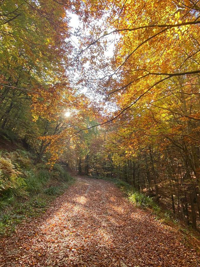 Location de vacances pour 4 personnes, avec terrasse ainsi que vue et jardin, adapté aux familles à Castiglione dei Pepoli - 3