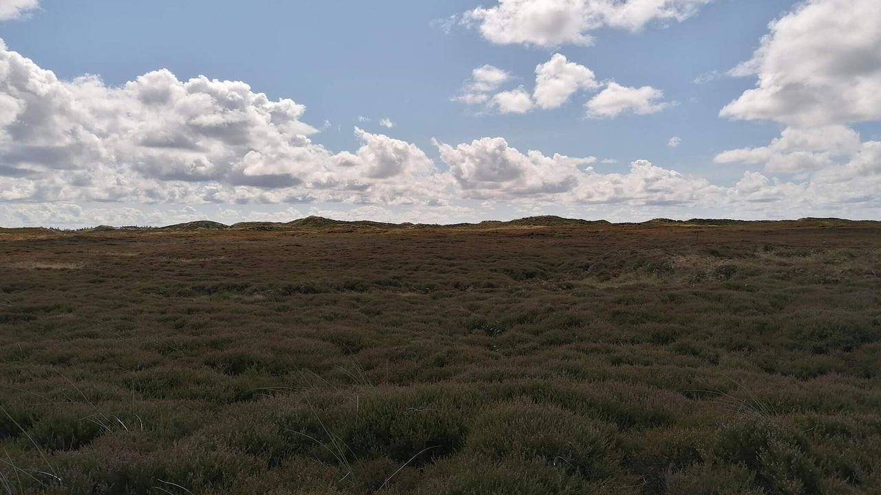 Ferienhaus für 6 Personen (62 m²) in Henne in Henne, Varde