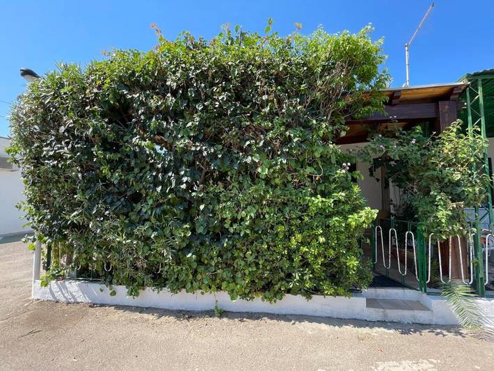 Ferienhaus für 4 Personen, mit Terrasse in Nora - 2