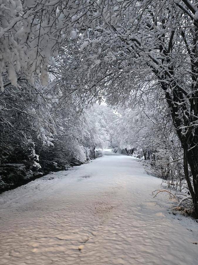Casa rural para 6 personas, con balcón y vistas en Barco de Ávila-Piedrahita - 3