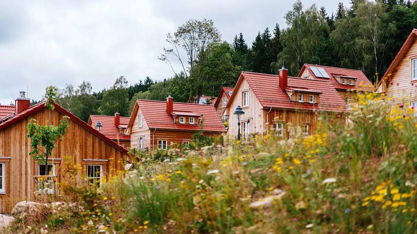 Ferienhaus für 4 Personen, mit Sauna und Garten, mit Haustier in Schierke - 3