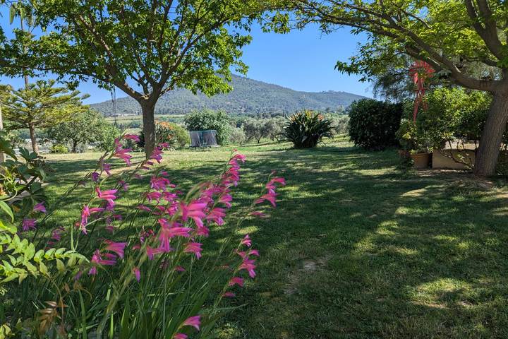Location de vacances pour 10 personnes, avec piscine ainsi que jardin et terrasse, animaux acceptés à Le Pradet - 2