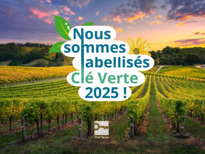 Hôtel pour 4 personnes, avec jardin à Champniers - 4