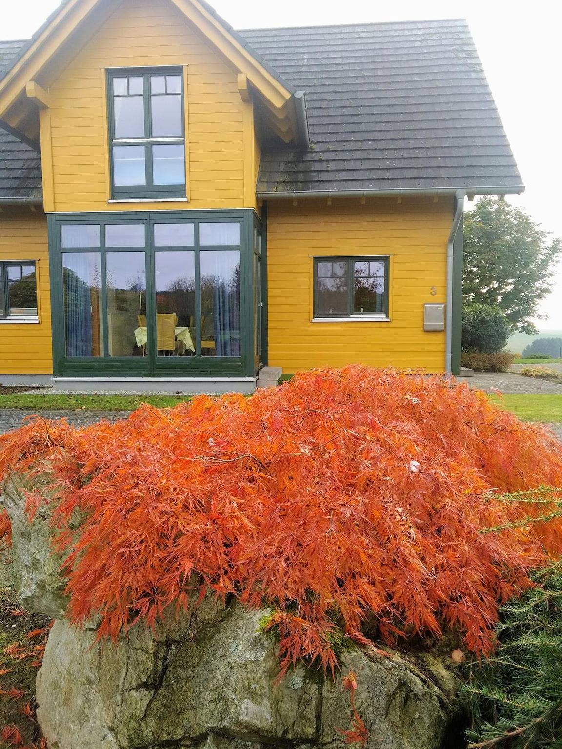 Das gelbe Landhaus in Zell (Mosel), Traben-Trarbach und Umbegung