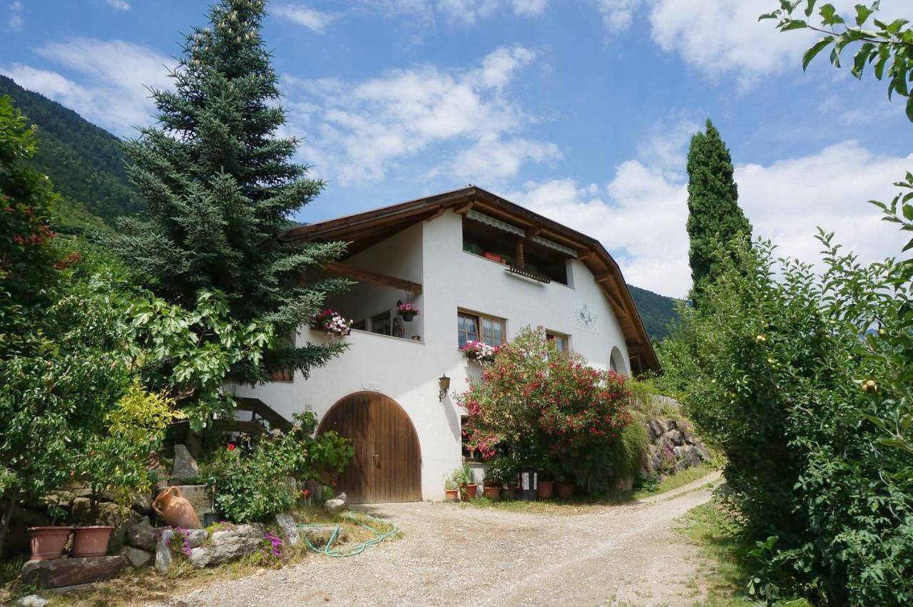 Ganze Wohnung, Schwaningerhof in Tscherms, Ortleralpen