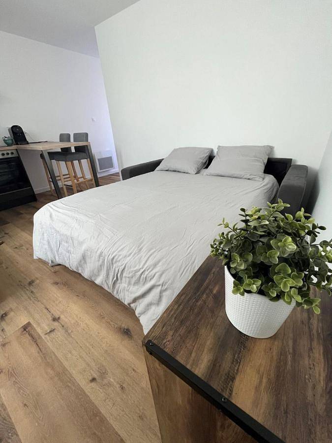 Gîte pour 4 personnes, avec jardin à Miserey-Salines - 4