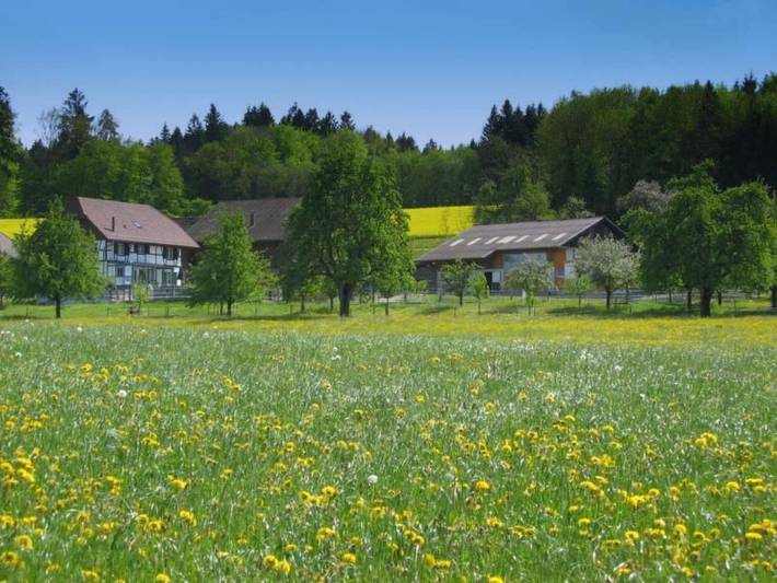 Ferienwohnung für 6 Personen, mit Balkon und Terrasse sowie Garten und Ausblick in der Schweiz - 2