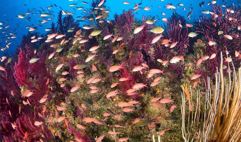 Chambre d’hôte pour 2 personnes, avec terrasse ainsi que jardin et vue à Milazzo - 2