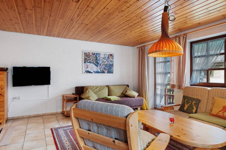 Ganze Wohnung, Ferienwohnung 'Am Blaubeerhang' mit Bergblick, privater Terrasse und Wi-Fi in Menzenschwand Hinterdorf (St. Blasien), St. Blasien