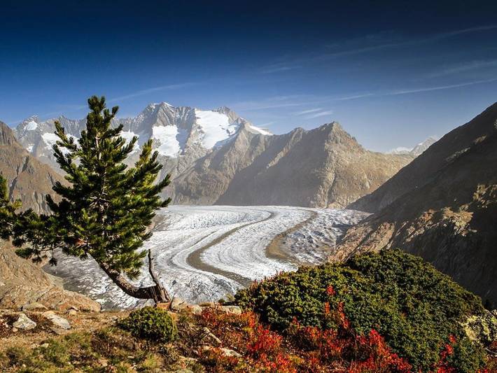Ferienwohnung für 4 Personen, mit Balkon, mit Haustier in der Schweiz - 4