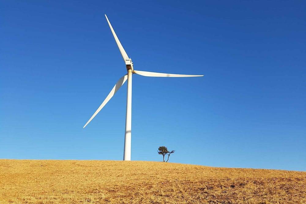Caminito del Rey. Casa Los Gamonales in Ardales, Málaga Province