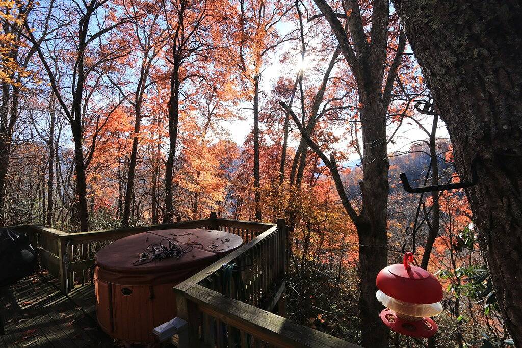 Wunderschön bewaldete und ruhige Umgebung (Whirlpool) in Blue Ridge Parkway, Cataloochee Valley