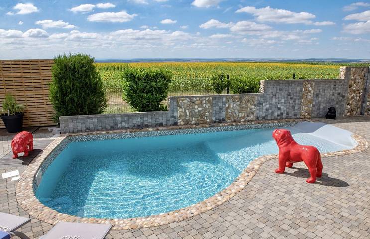 Chambre d’hôte pour 2 personnes, avec piscine et jardin dans Grand Est - 2