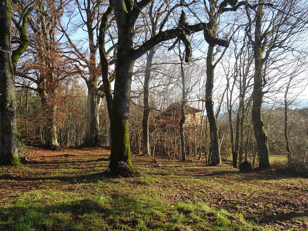 La Cabane des Fayards in Saint-Agrève, Parc naturel régional des Monts d'Ardèche