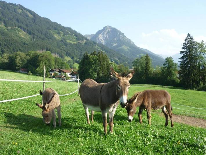 Landhaus für 4 Personen, mit Ausblick und Terrasse sowie Garten in Schwaben - 3