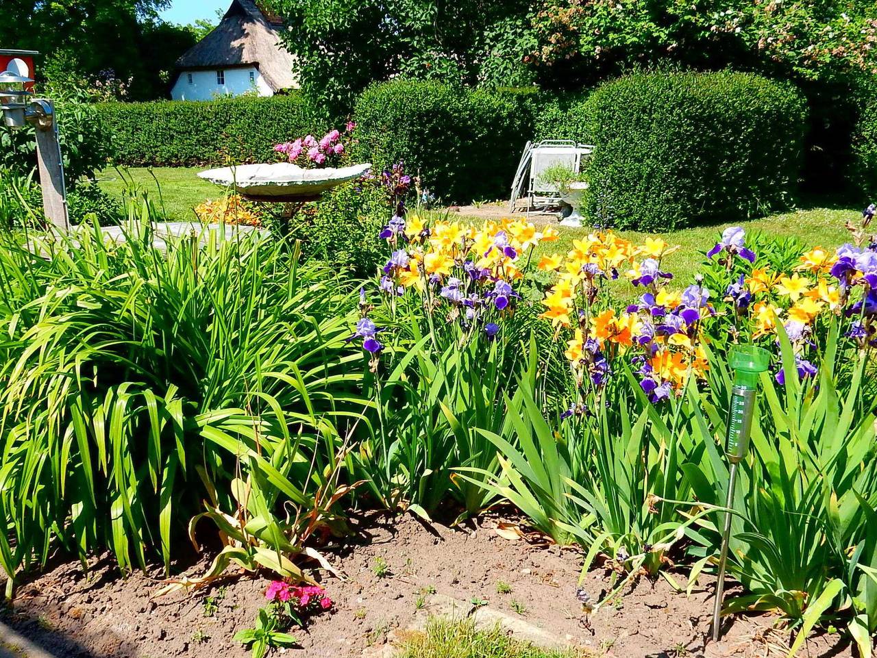 Ganze Ferienwohnung, Fewo We 6402 Ferien u Angeln auf Rügen-ruhige Lage,Garten! - Ferienwohnung Hof in Trent, Rügen