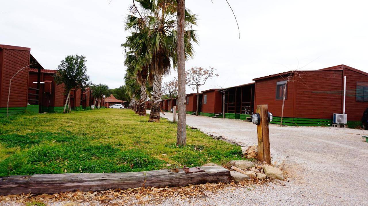Bungalows Park Albufera in El Saler, Valence (Espagne)