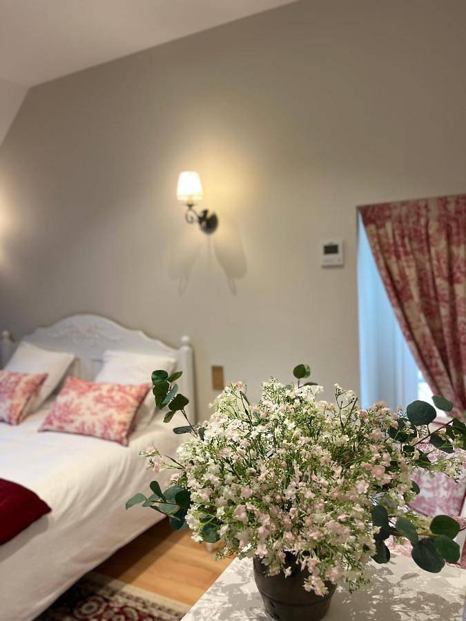 Chambre d’hôte pour 2 personnes, avec vue ainsi que terrasse et jardin à Hautvillers - 4