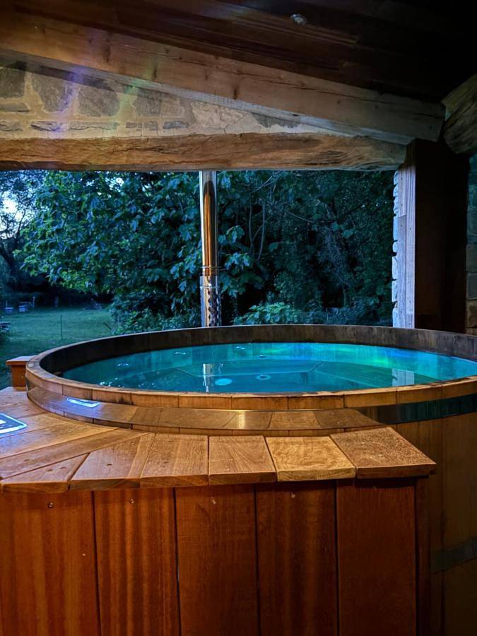 Gîte pour 3 personnes, avec jardin ainsi que piscine et jacuzzi à Bouillargues - 3