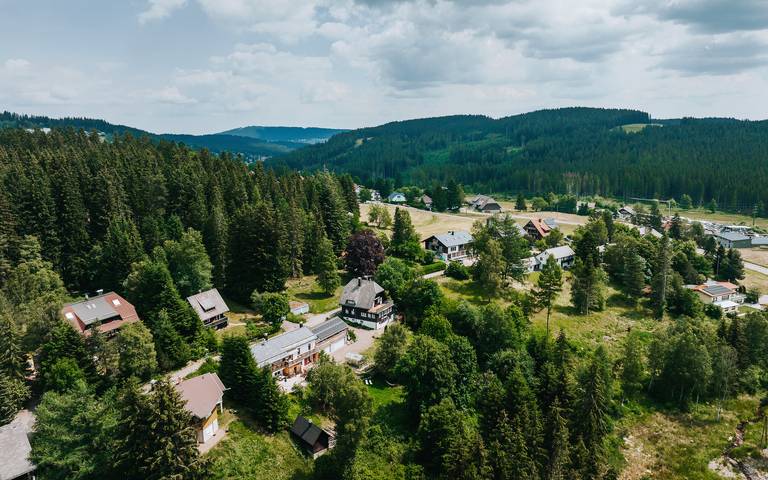 Ferienhaus für 6 Personen, mit Garten, mit Haustier in Feldberg - 4