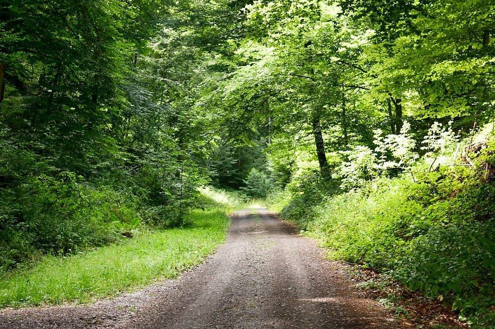 Ganze Wohnung, Großzügige Ferienwohnung am Rande des Pfälzer Waldes in Esthal, Saar-Nahe-Bergland