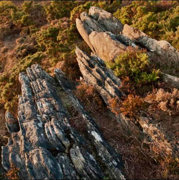 Bateau pour 2 personnes, avec jardin et vue, animaux acceptés à Caurel - 4
