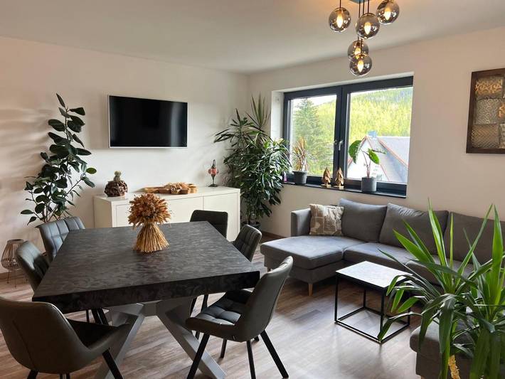Ferienwohnung für 6 Personen, mit Balkon und Terrasse sowie Ausblick in Lauscha - 2