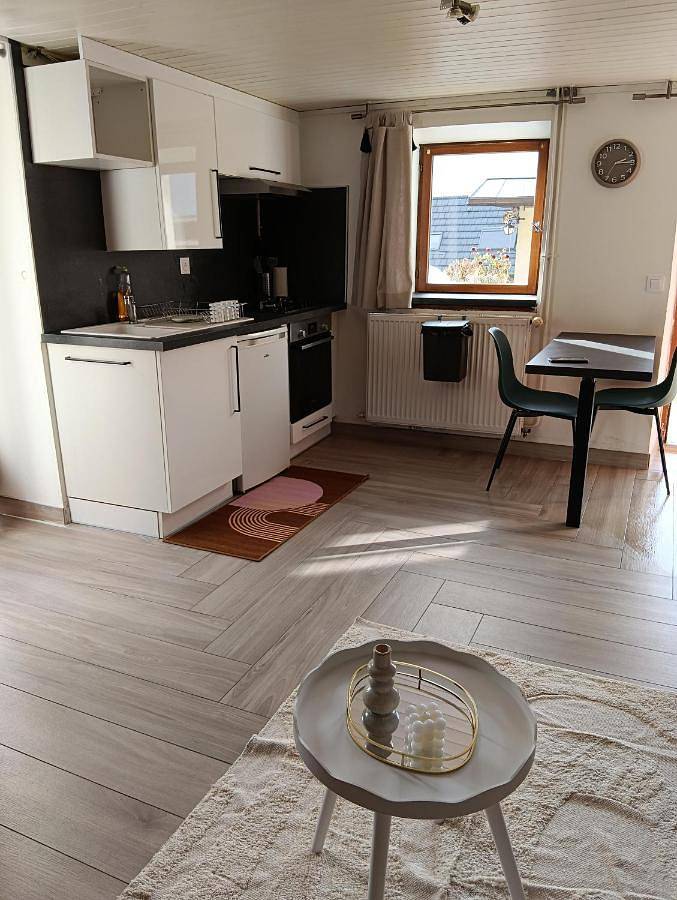 Appartement entier, Studio 4 personnes avec terrasse privée à Voglans in Voglans, Région de Chambéry