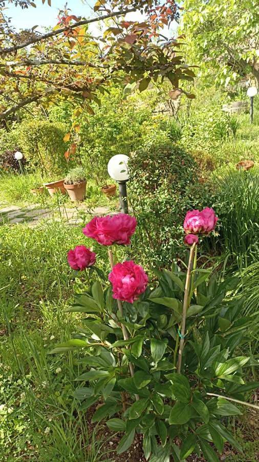 Terra di Magie in Sarnano, Parco nazionale dei Monti Sibillini