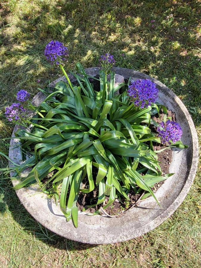 Villa pour 6 personnes, avec jardin et terrasse à La Garde - 2