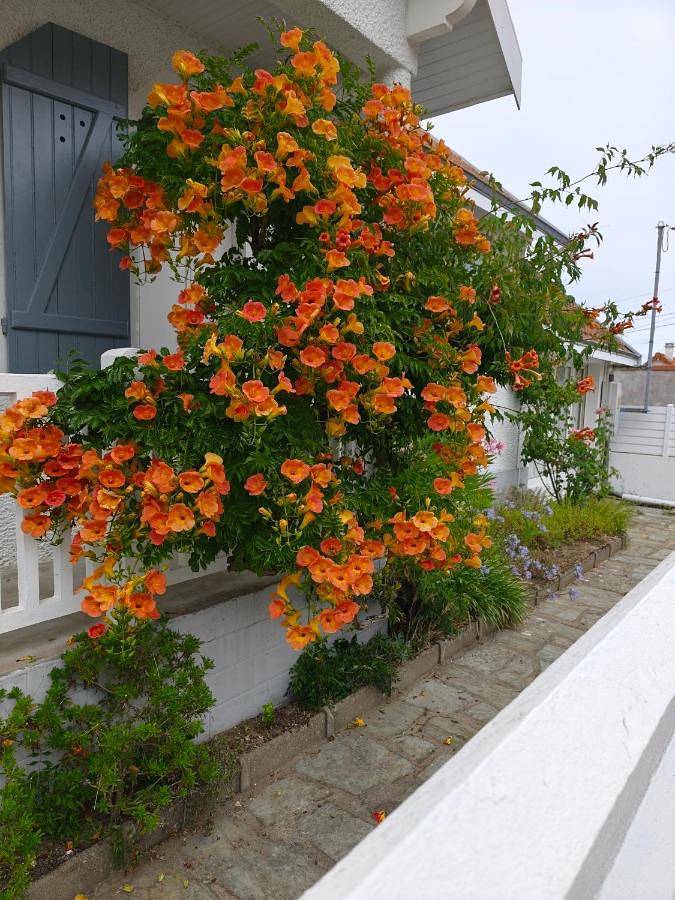 Maison avec jardin à 150 m de la plage in La Plaine-sur-Mer, Côte de Jade