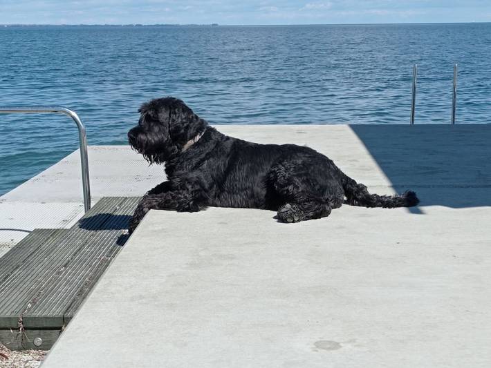 Ferienwohnung für 2 Personen, mit Garten und Terrasse, kinderfreundlich in Steinberg - 3