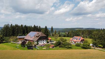 Gîte pour 4 personnes, avec terrasse et jardin, animaux acceptés à Schramberg