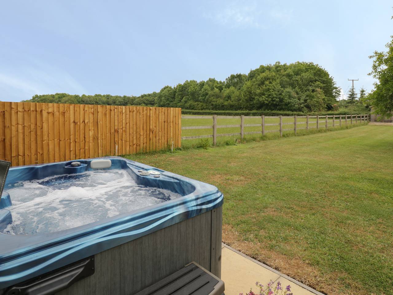 Buttercups at Midway in Worcestershire