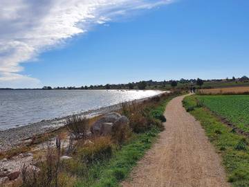 Feriehus til 4 Personer i Ærøskøbing, Little Belt, Bilde 4