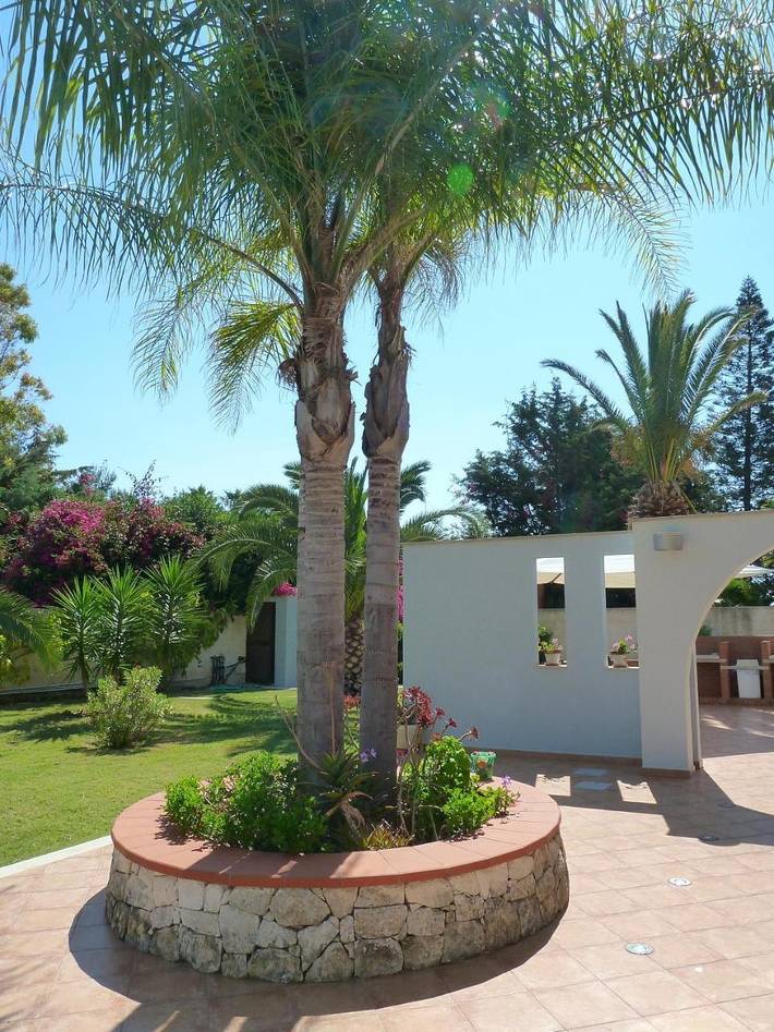 B&b per 3 persone, con Balcone e Terrazza nonché Giardino e Panorama a Arenella