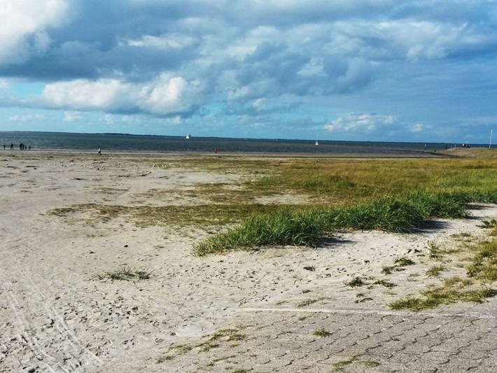 Ferienhaus für 6 Personen, mit Garten, mit Haustier in Bensersiel - 4