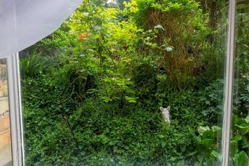 Glamping for 2 People in Hove, Brighton, Photo 2