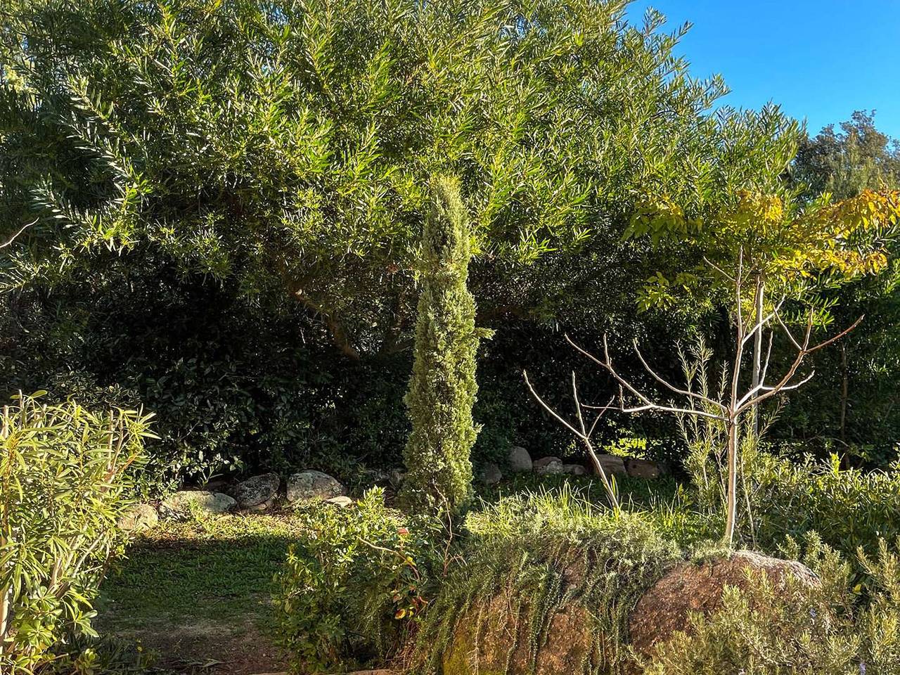 Villa con Terraza y Barbacoa, 80m de Playa Santa-Giulia, 4 Piezas, 5 Plazas – Porto-Vecchio in Santa Giulia, Porto Vecchio